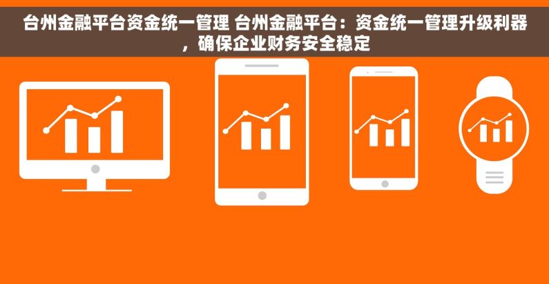 台州金融平台资金统一管理 台州金融平台：资金统一管理升级利器，确保企业财务安全稳定