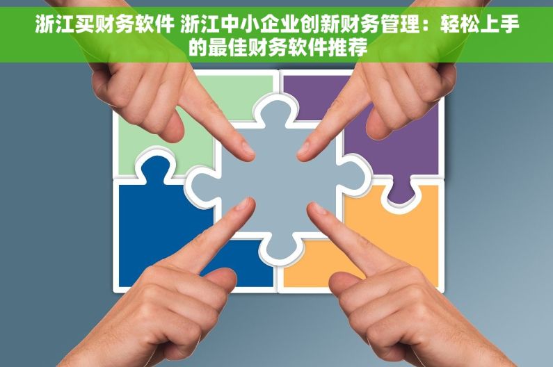 浙江买财务软件 浙江中小企业创新财务管理：轻松上手的最佳财务软件推荐