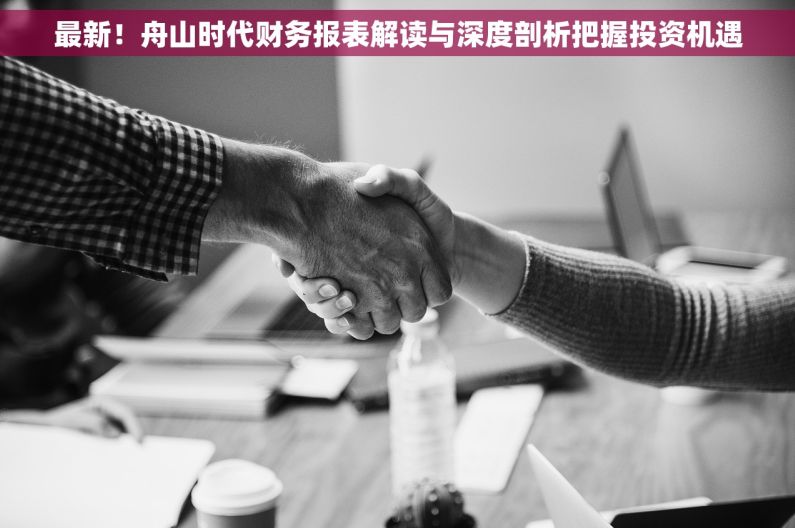 最新！舟山时代财务报表解读与深度剖析把握投资机遇