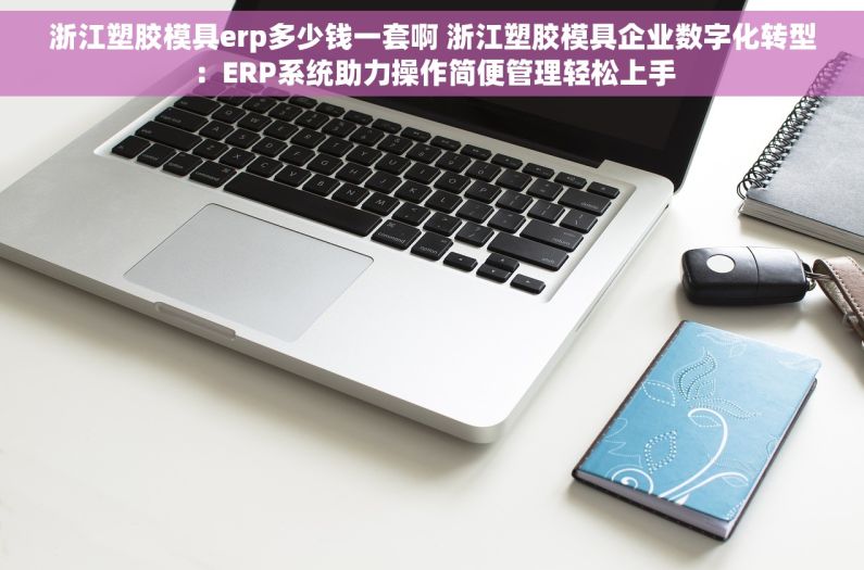 浙江塑胶模具erp多少钱一套啊 浙江塑胶模具企业数字化转型：ERP系统助力操作简便管理轻松上手