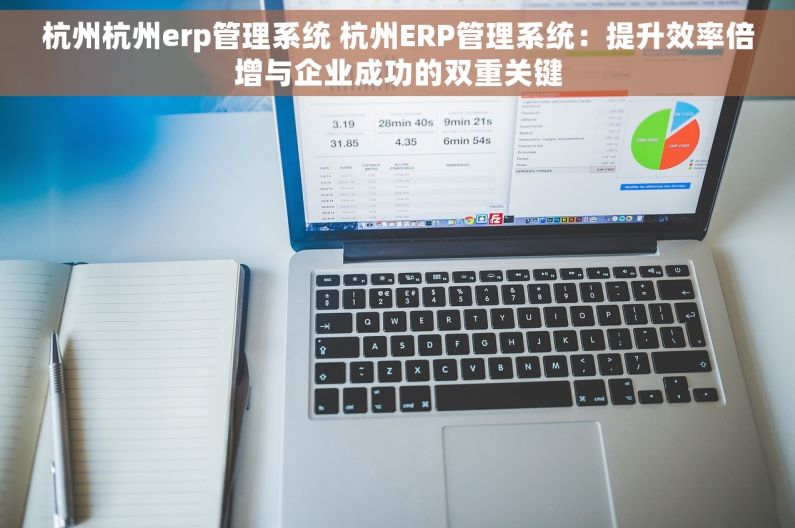 杭州杭州erp管理系统 杭州ERP管理系统：提升效率倍增与企业成功的双重关键