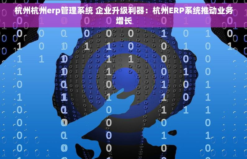 杭州杭州erp管理系统 企业升级利器：杭州ERP系统推动业务增长