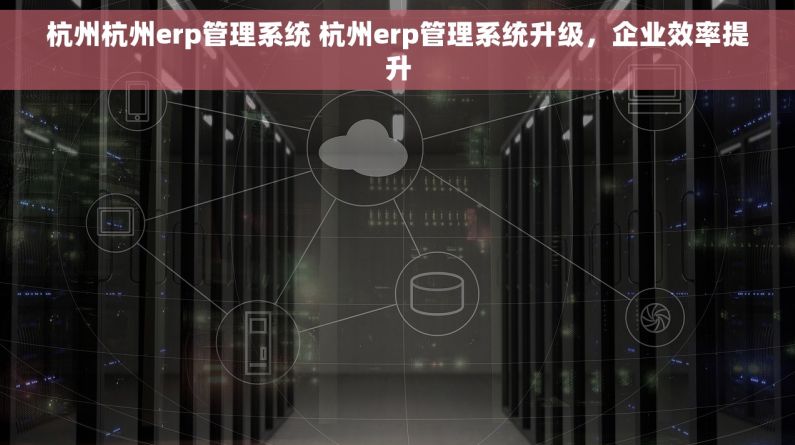 杭州杭州erp管理系统 杭州erp管理系统升级，企业效率提升