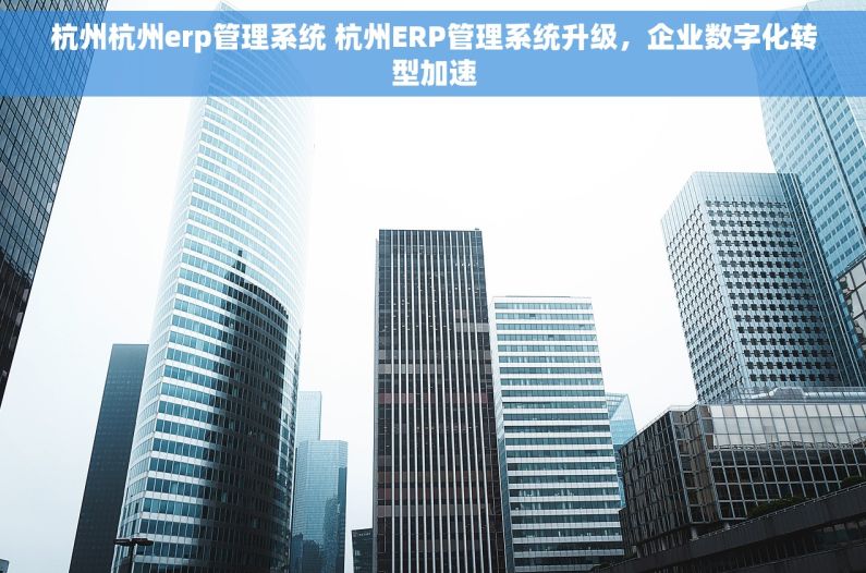 杭州杭州erp管理系统 杭州ERP管理系统升级，企业数字化转型加速
