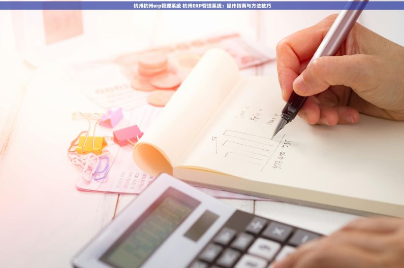 杭州杭州erp管理系统 杭州ERP管理系统：操作指南与方法技巧