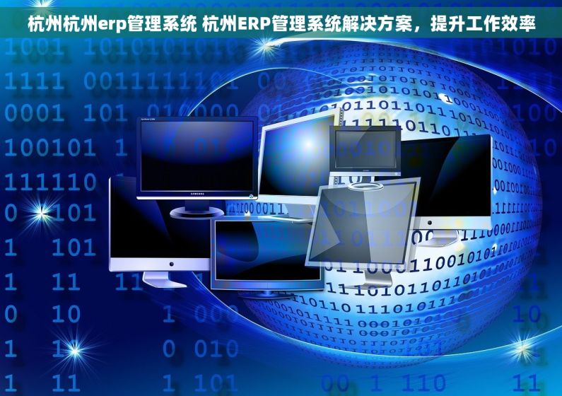 杭州杭州erp管理系统 杭州ERP管理系统解决方案，提升工作效率