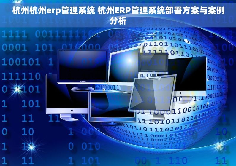 杭州杭州erp管理系统 杭州ERP管理系统部署方案与案例分析