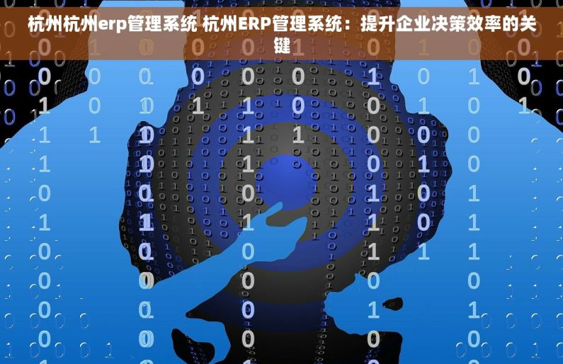 杭州杭州erp管理系统 杭州ERP管理系统：提升企业决策效率的关键