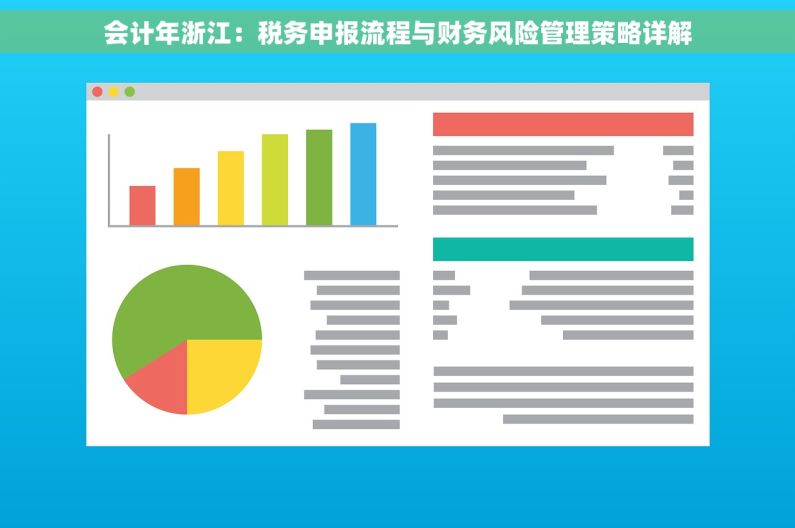 会计年浙江：税务申报流程与财务风险管理策略详解