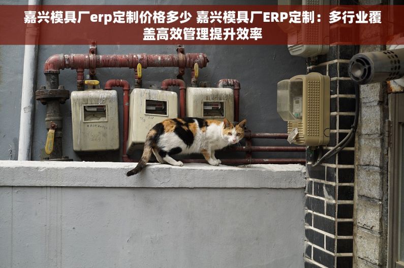 嘉兴模具厂erp定制价格多少 嘉兴模具厂ERP定制：多行业覆盖高效管理提升效率