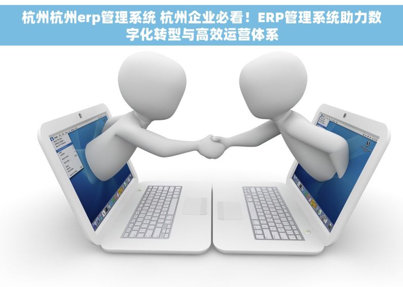 杭州杭州erp管理系统 杭州企业必看！ERP管理系统助力数字化转型与高效运营体系