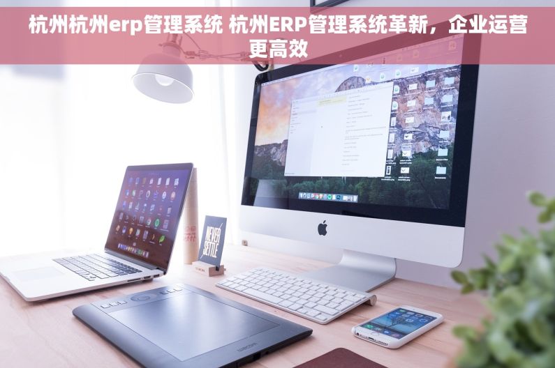 杭州杭州erp管理系统 杭州ERP管理系统革新，企业运营更高效