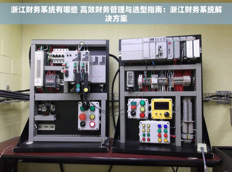 浙江财务系统有哪些 高效财务管理与选型指南：浙江财务系统解决方案