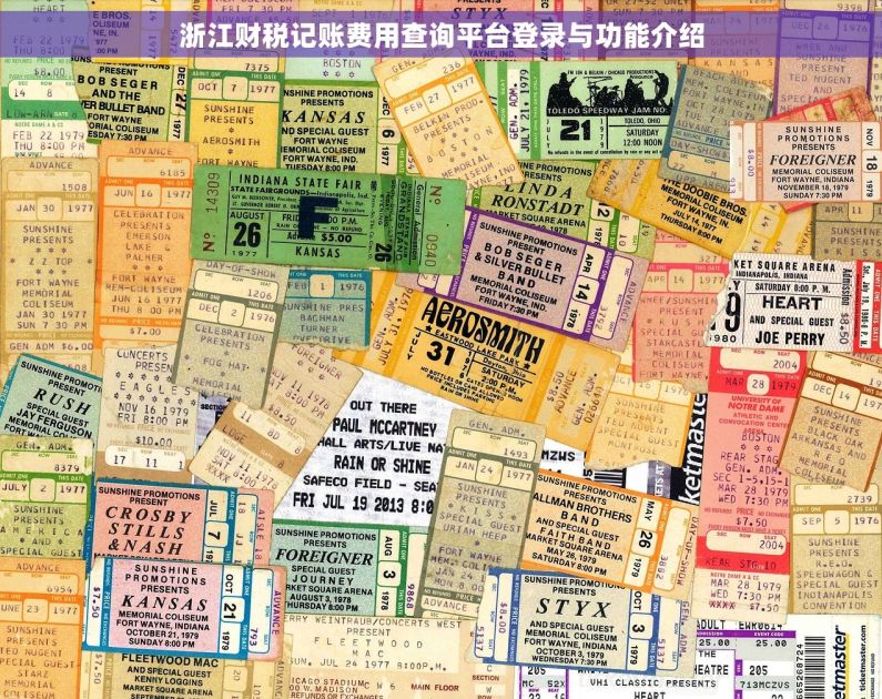 浙江财税记账费用查询平台登录与功能介绍