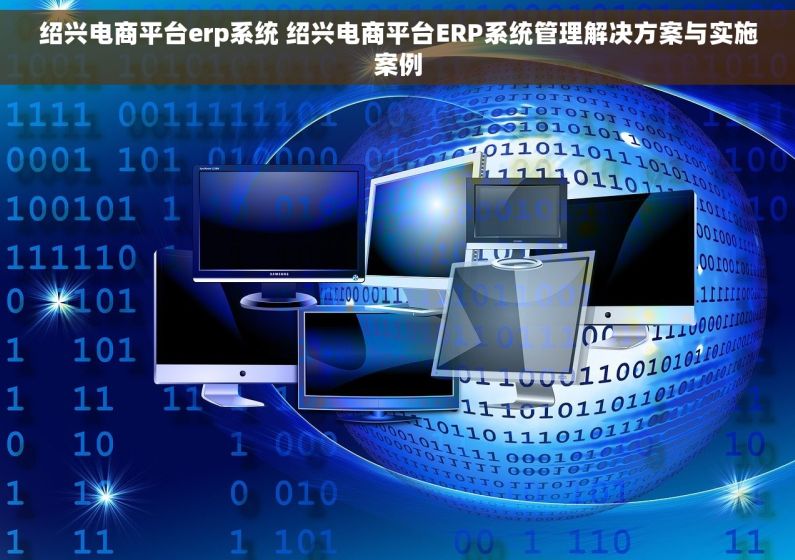 绍兴电商平台erp系统 绍兴电商平台ERP系统管理解决方案与实施案例