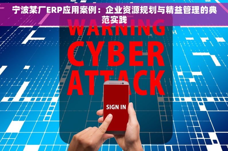 宁波某厂ERP应用案例：企业资源规划与精益管理的典范实践
