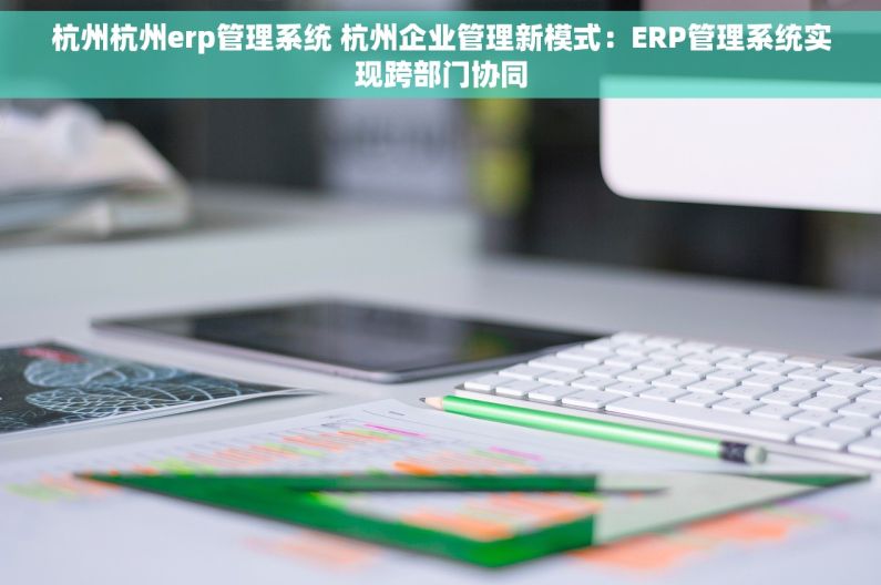 杭州杭州erp管理系统 杭州企业管理新模式：ERP管理系统实现跨部门协同