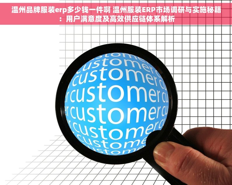 温州品牌服装erp多少钱一件啊 温州服装ERP市场调研与实施秘籍：用户满意度及高效供应链体系解析