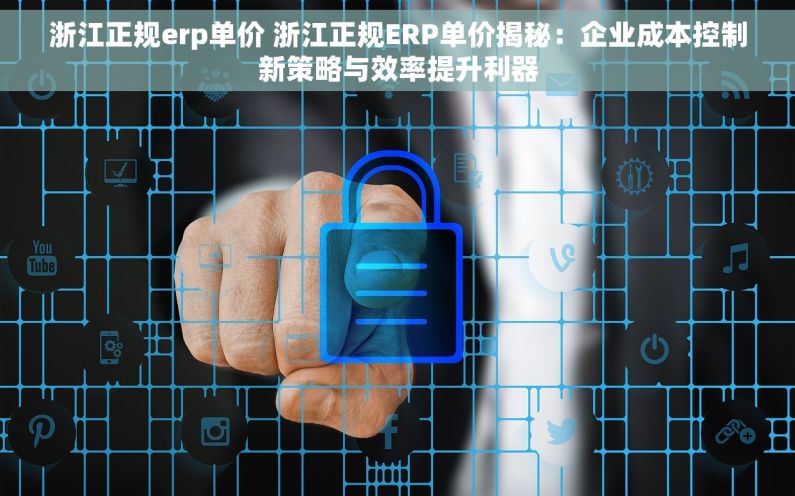 浙江正规erp单价 浙江正规ERP单价揭秘：企业成本控制新策略与效率提升利器