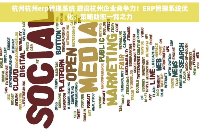 杭州杭州erp管理系统 提高杭州企业竞争力！ERP管理系统优化，策略助您一臂之力