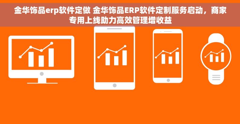 金华饰品erp软件定做 金华饰品ERP软件定制服务启动，商家专用上线助力高效管理增收益