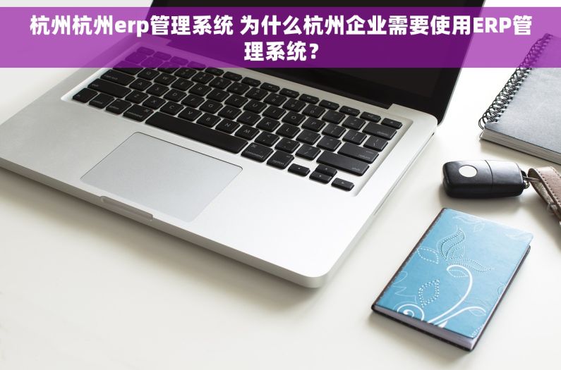 杭州杭州erp管理系统 为什么杭州企业需要使用ERP管理系统？
