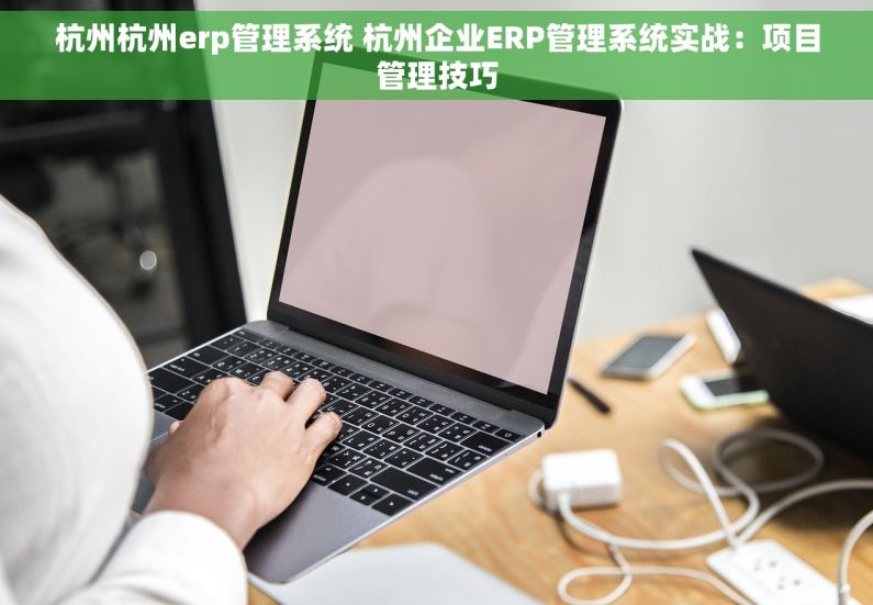 杭州杭州erp管理系统 杭州企业ERP管理系统实战：项目管理技巧