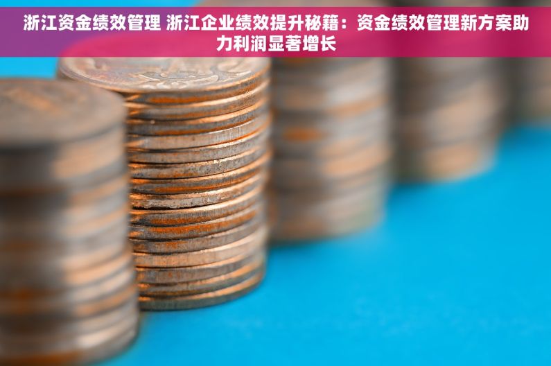 浙江资金绩效管理 浙江企业绩效提升秘籍：资金绩效管理新方案助力利润显著增长