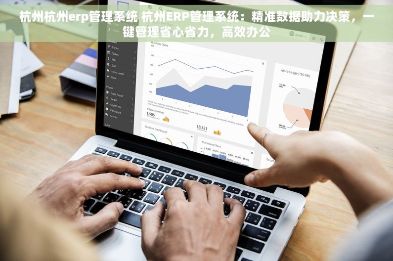 杭州杭州erp管理系统 杭州ERP管理系统：精准数据助力决策，一键管理省心省力，高效办公