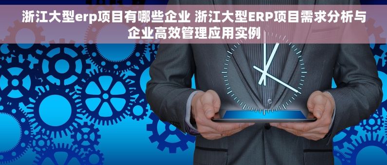 浙江大型erp项目有哪些企业 浙江大型ERP项目需求分析与企业高效管理应用实例