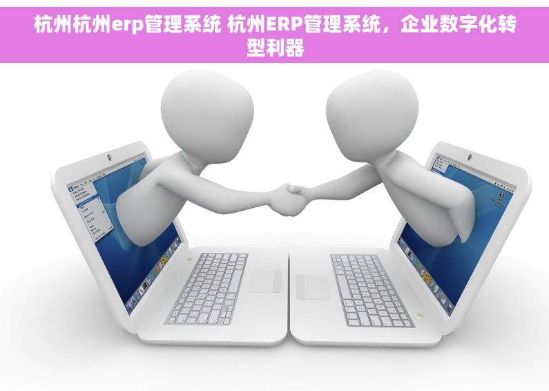 杭州杭州erp管理系统 杭州ERP管理系统，企业数字化转型利器