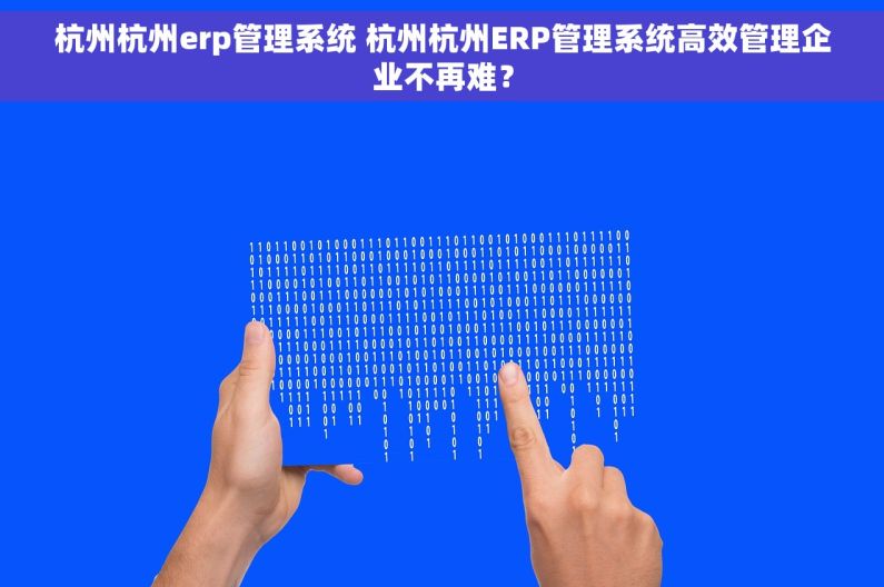 杭州杭州erp管理系统 杭州杭州ERP管理系统高效管理企业不再难？