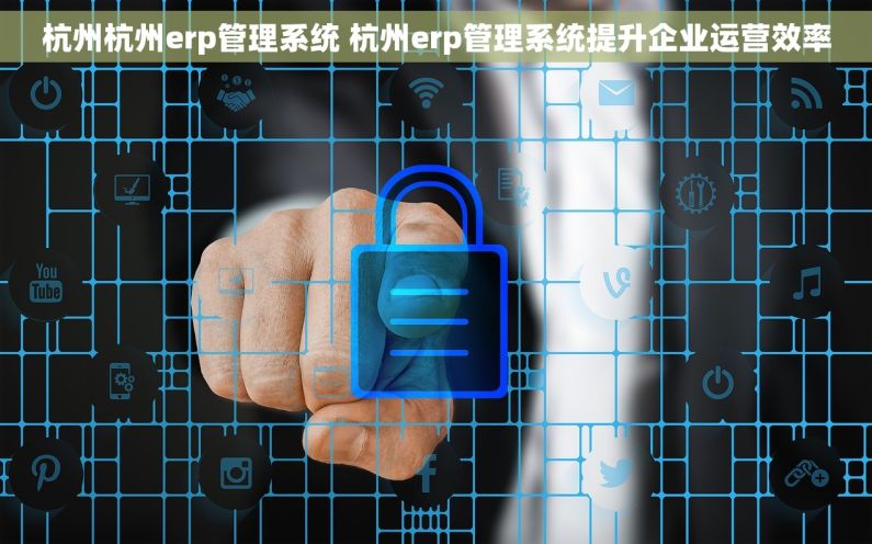 杭州杭州erp管理系统 杭州erp管理系统提升企业运营效率
