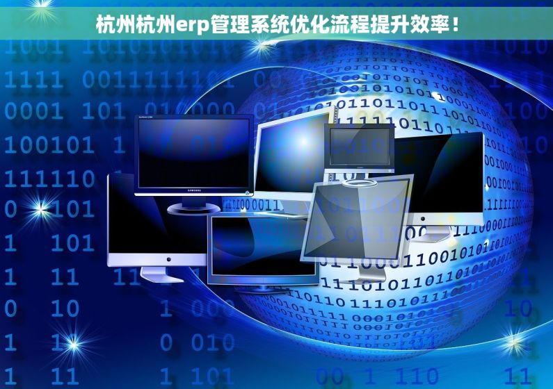 杭州杭州erp管理系统优化流程提升效率！