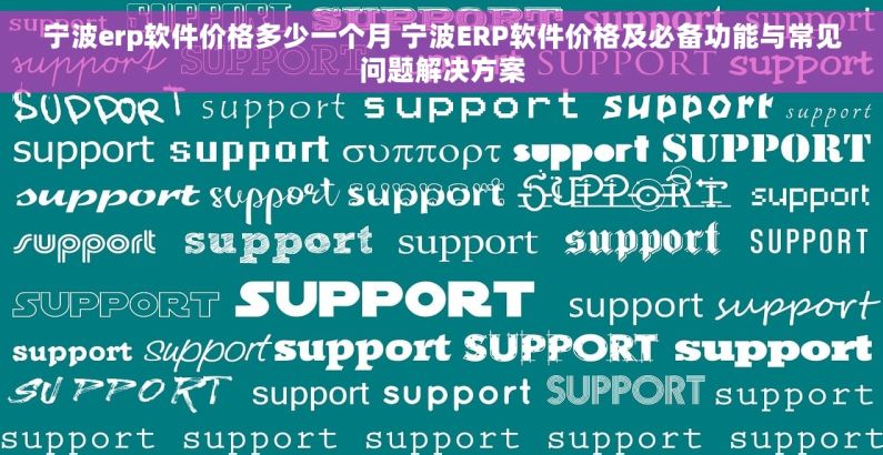 宁波erp软件价格多少一个月 宁波ERP软件价格及必备功能与常见问题解决方案
