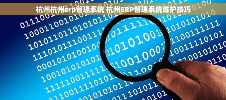 杭州杭州erp管理系统 杭州ERP管理系统维护技巧
