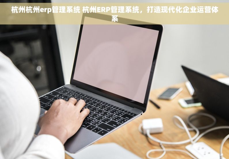 杭州杭州erp管理系统 杭州ERP管理系统，打造现代化企业运营体系