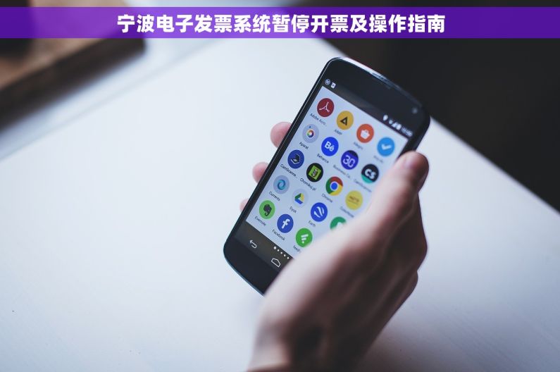 宁波电子发票系统暂停开票及操作指南