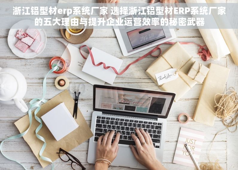 浙江铝型材erp系统厂家 选择浙江铝型材ERP系统厂家的五大理由与提升企业运营效率的秘密武器