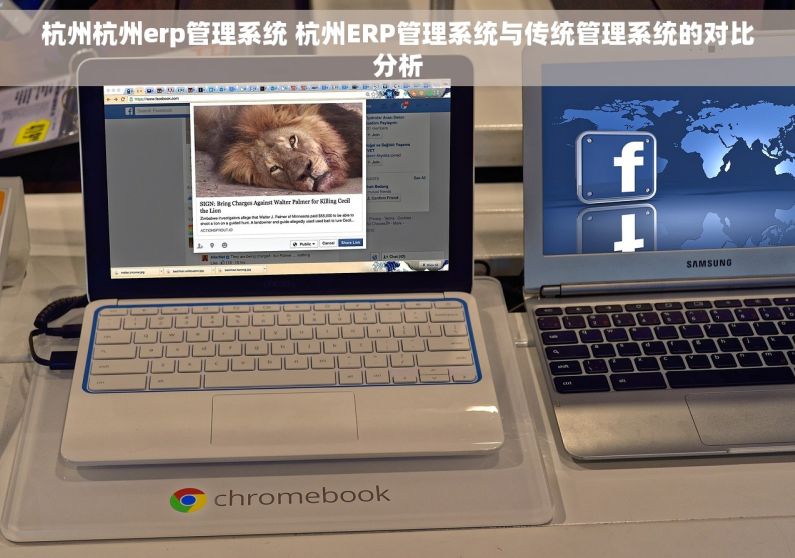 杭州杭州erp管理系统 杭州ERP管理系统与传统管理系统的对比分析