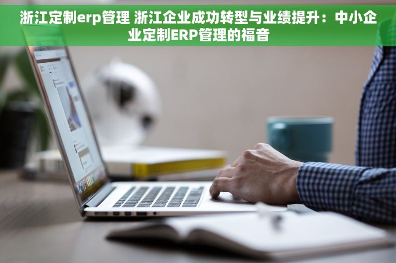 浙江定制erp管理 浙江企业成功转型与业绩提升：中小企业定制ERP管理的福音