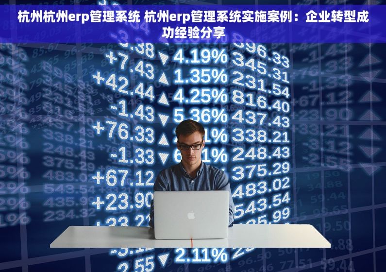杭州杭州erp管理系统 杭州erp管理系统实施案例：企业转型成功经验分享