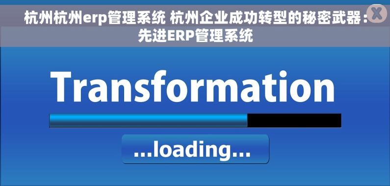 杭州杭州erp管理系统 杭州企业成功转型的秘密武器：先进ERP管理系统