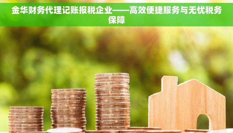 金华财务代理记账报税企业——高效便捷服务与无忧税务保障