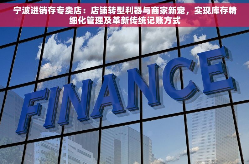 宁波进销存专卖店：店铺转型利器与商家新宠，实现库存精细化管理及革新传统记账方式