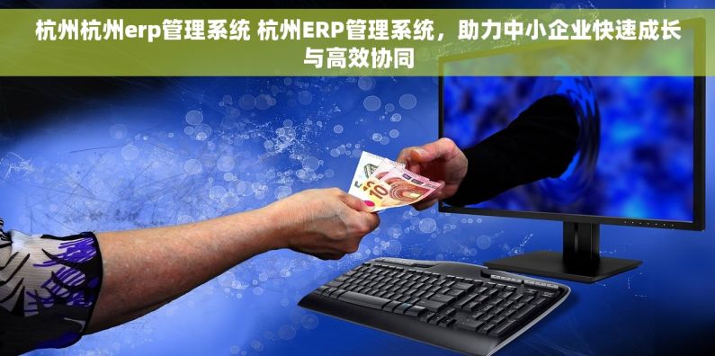 杭州杭州erp管理系统 杭州ERP管理系统，助力中小企业快速成长与高效协同