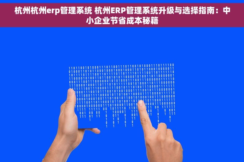 杭州杭州erp管理系统 杭州ERP管理系统升级与选择指南：中小企业节省成本秘籍