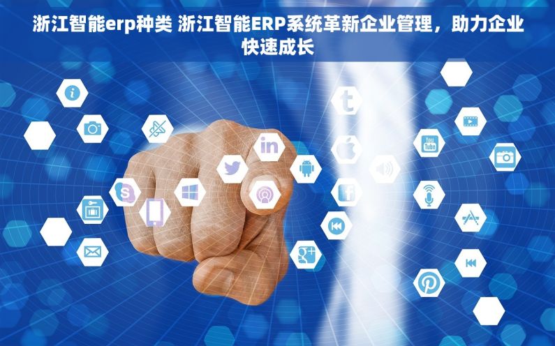 浙江智能erp种类 浙江智能ERP系统革新企业管理，助力企业快速成长