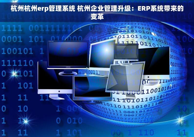 杭州杭州erp管理系统 杭州企业管理升级：ERP系统带来的变革