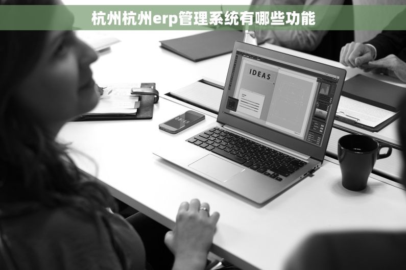 杭州杭州erp管理系统有哪些功能